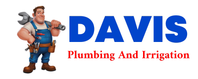 Trusted plumber in WILDERVILLE